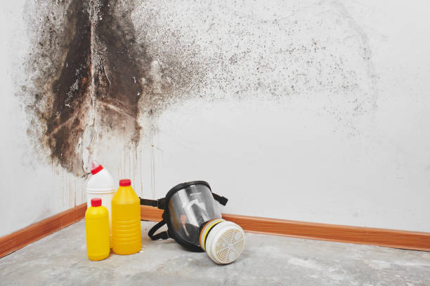 Best Water Damage Restoration  in Mooreland, OK