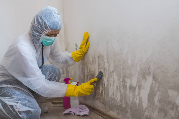 Best Emergency Mold Removal  in Mooreland, OK