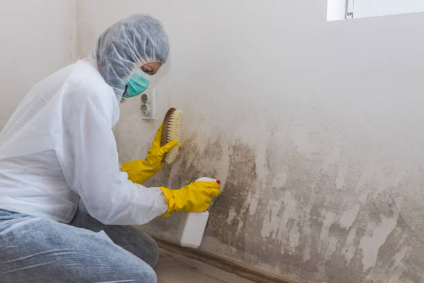 Best Mold Remediation Services  in Mooreland, OK