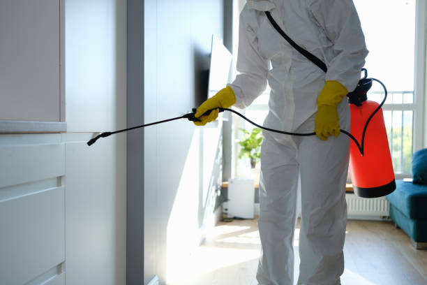 Best Mold Cleaning Services  in Mooreland, OK