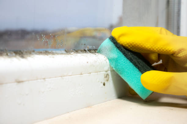 Home Mold Removal in Mooreland, OK