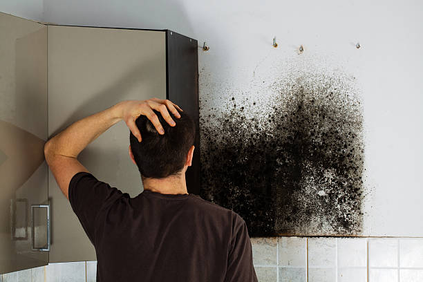 Best Commercial Mold Removal  in Mooreland, OK